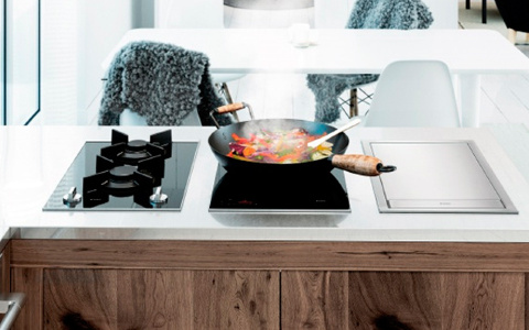 Варочные панели Domino